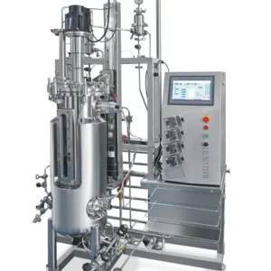 fermentation process