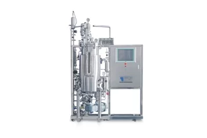 fermentation process