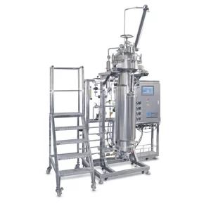 fermentation process