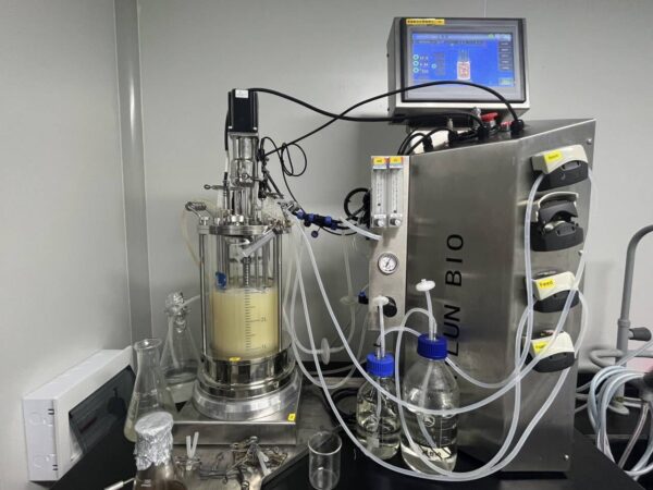 5L Mechanical Stirring Glass Fermenter - BLBIO-5GJ - Image 4