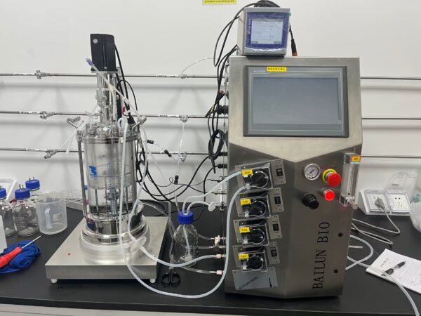 5L Mechanical Stirring Glass Fermenter - BLBIO-5GJ - Image 3