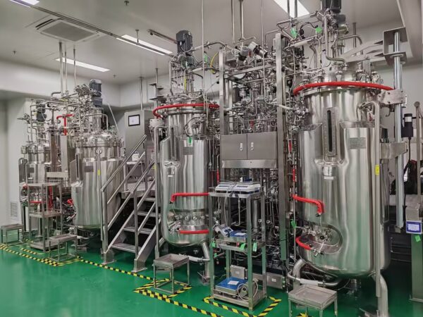 500L pilot stainless steel bioreactor BLBIO-SJA