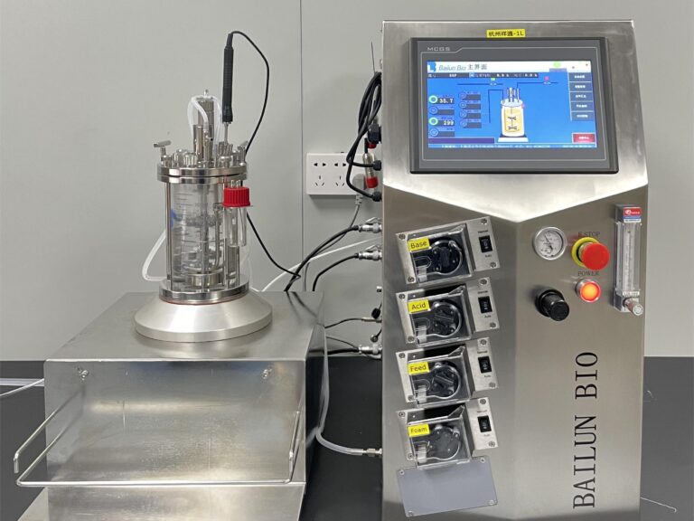 1L glass bioreactor magnetic stirring bioreactor BLBIO-1GC