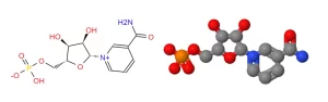 Nicotinamide Mononucleotide